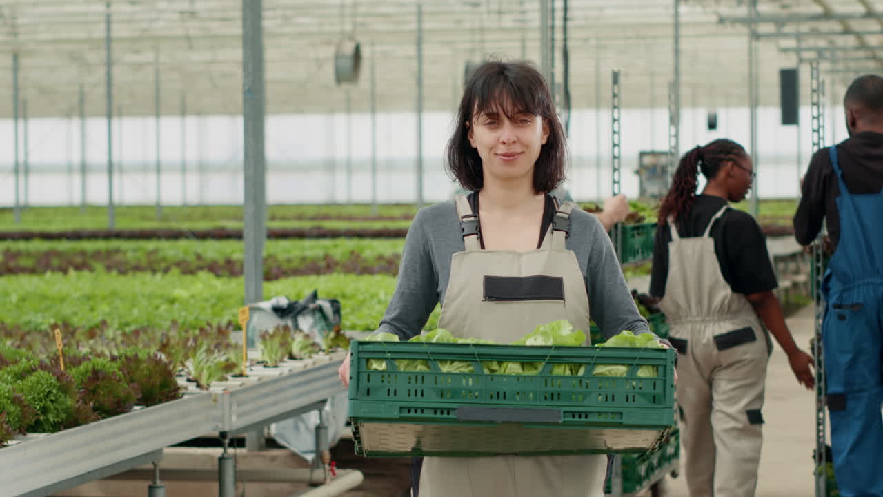 Woman holding a basket of lettuce in a greenhouse