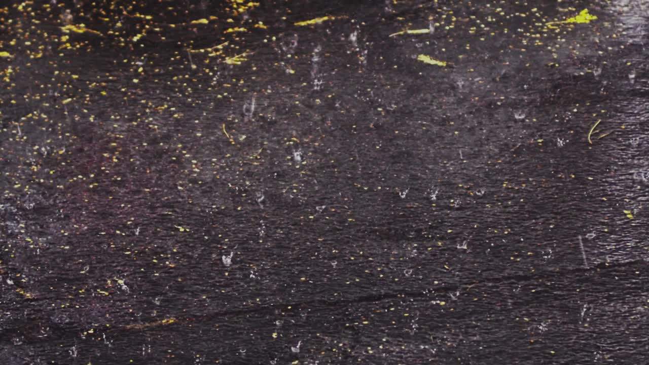 imágenes de cierre en cámara lenta de gruesas gotas de lluvia rompiendo en el asfalto de la calle durante una tormenta