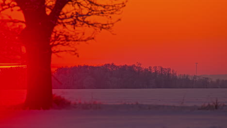 Silhouette-of-tree-in-foreground-with-bright-sun-behind-rising-in-orange-sky-over-snowy-landscape