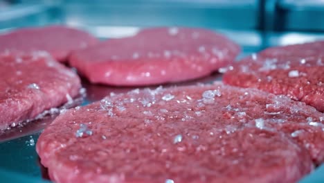 raw meat steaks