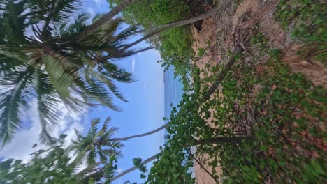 drone aéreo fpv pov a través de palmeras hacia playa onda playa en la república dominicana