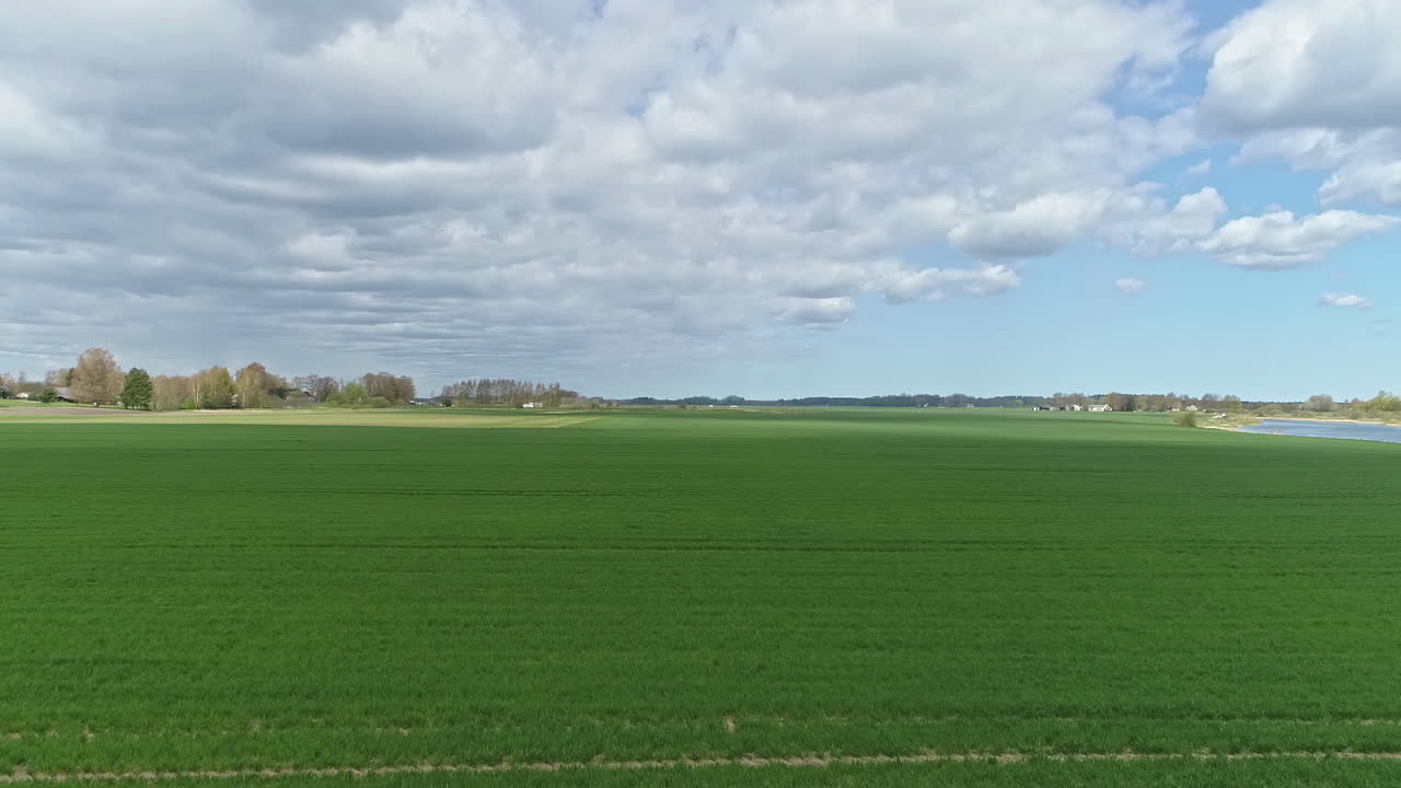 완벽한 파란 하늘과  ⁇  구름 나무 라인, 공중 돌리와 함께 아름다운 진정 녹색 필드