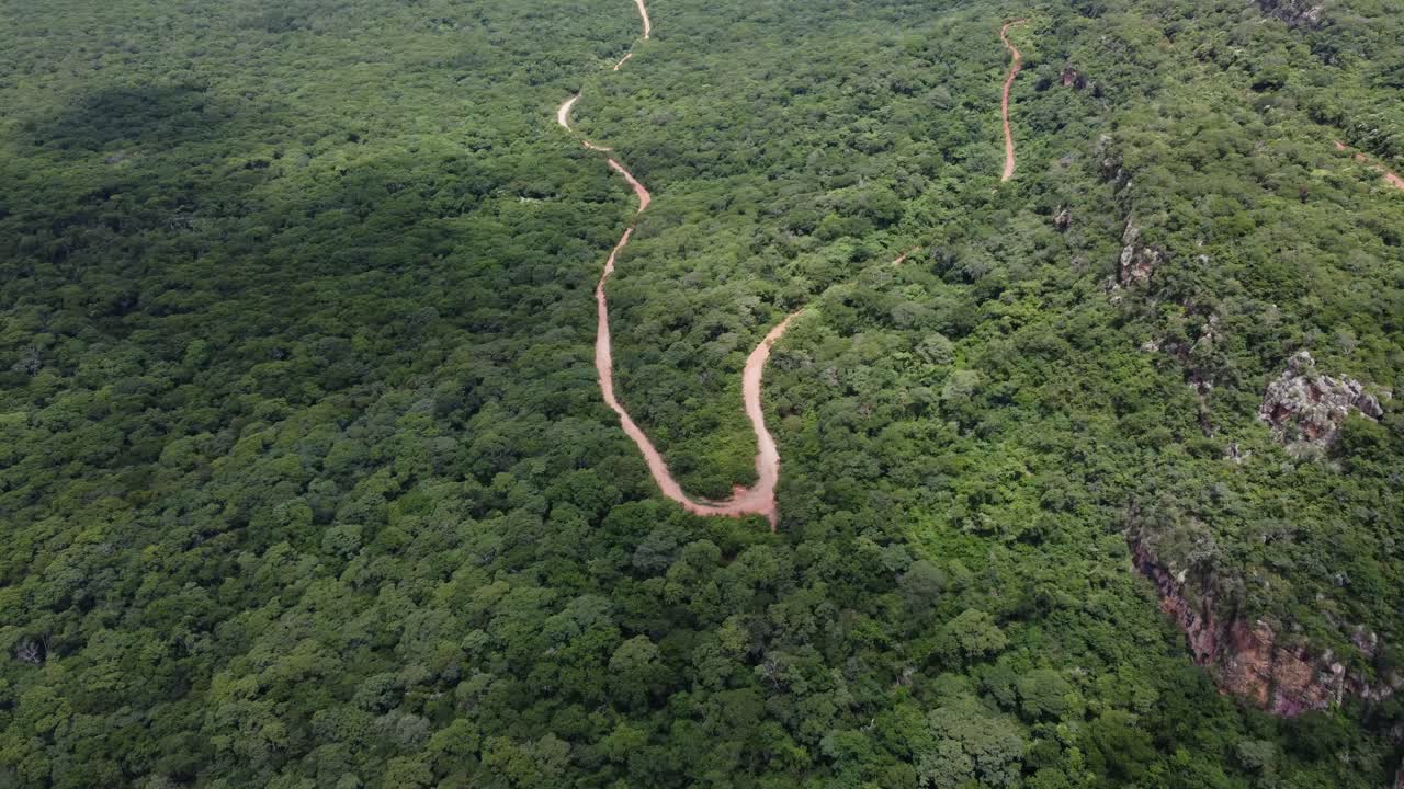 el camino de tierra áspera sopla a través del denso bosque hasta la escarpada ladera rocosa