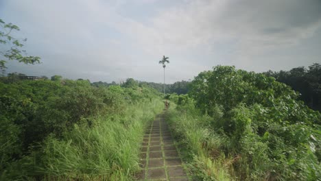 blonde frau beim gesunden morgenlauf auf dem berühmten campuhan-kamm in bali, bewegung