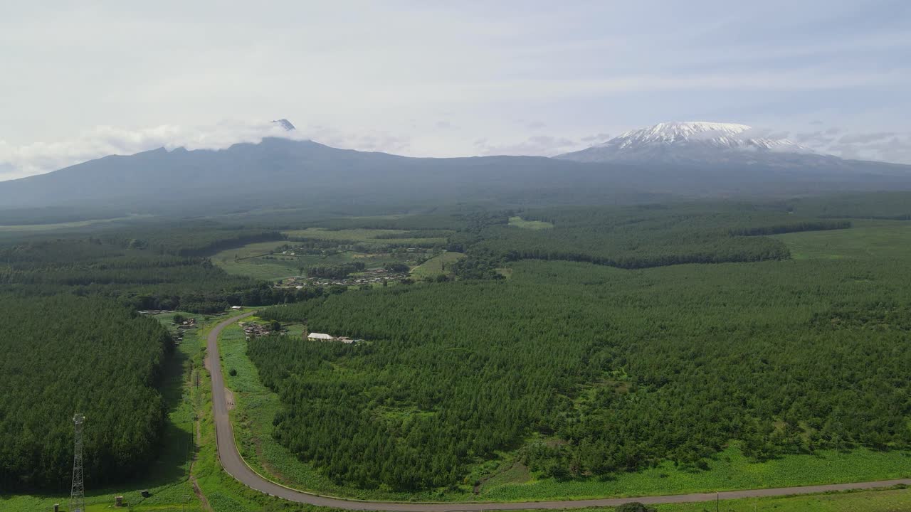 paisaje de bosque peludo entre carretera asfaltada con montañas nevadas en el fondo en kilimanjaro en kenia, áfrica