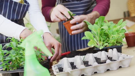 Video-of-midsection-of-diverse-couple-potting-seedlings-together-at-home,-with-copy-space