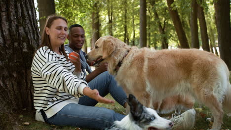 Pareja-Con-Mascotas-Al-Aire-Libre