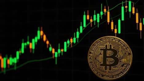an analysis of bitcoin price trends: a visual representation of market fluctuations and growth over time with cryptocurrency insights