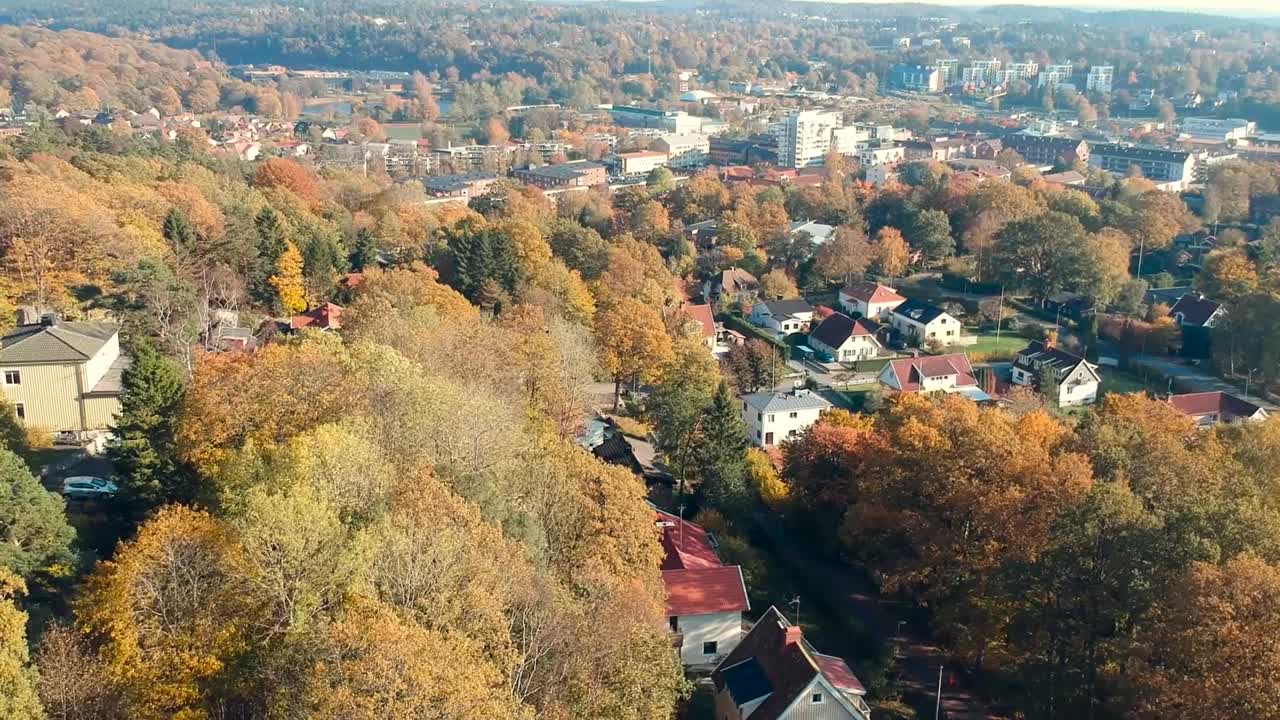 Aerial View of Suburban Neighborhood in Autumn