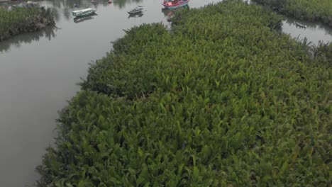 Enthüllen-Sie-Eine-Aufnahme-Des-Dorfes-Cam-Thanh-In-Vietnam-Tagsüber,-Aus-Der-Luft