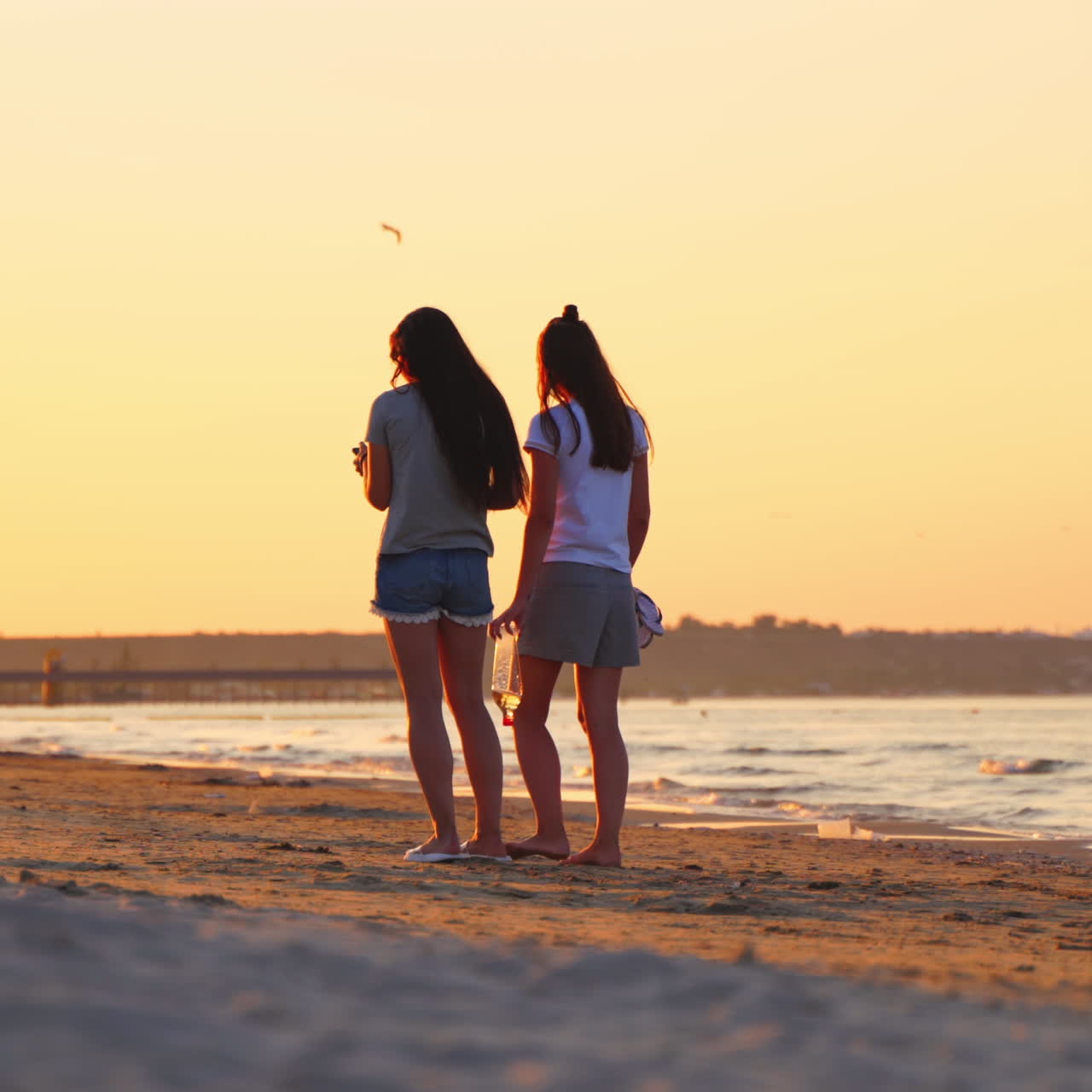 Two beautiful girls walking along the beach at sunset. Evening background in the sea and back view of young women have a nice walk on sand shore.