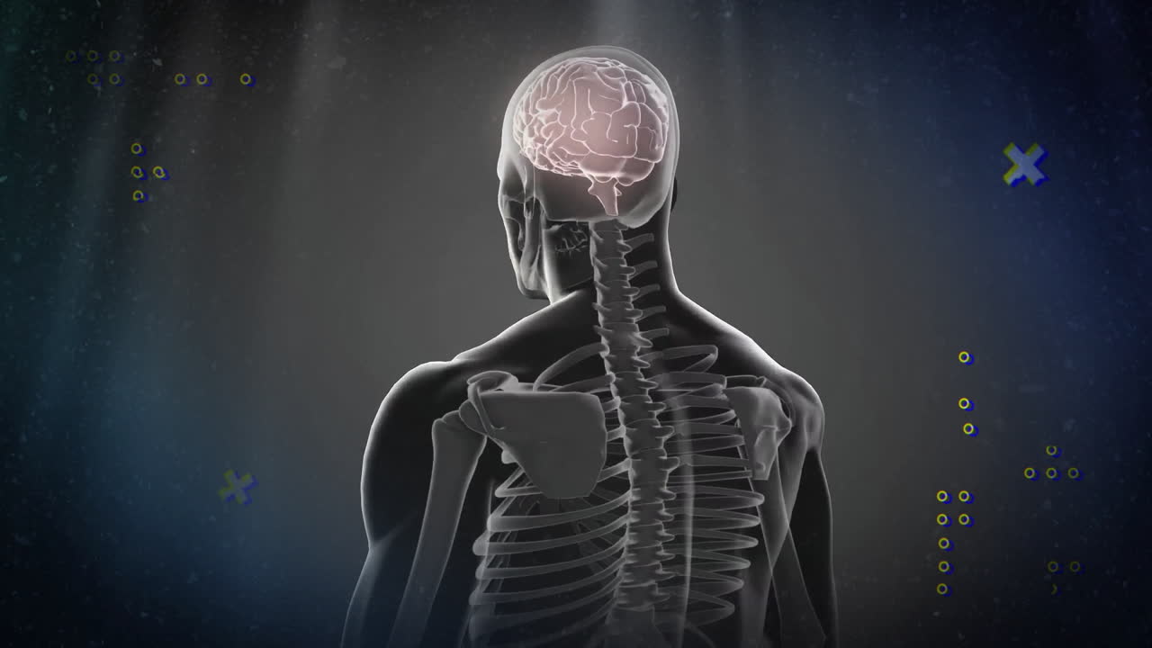Animation of human skeleton with brain highlighted, digital elements surrounding it
