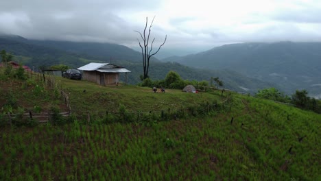 Hermoso-Paisaje-Tailandés-En-El-Distrito-De-Sop-Moei-Y-Edificio-Solitario