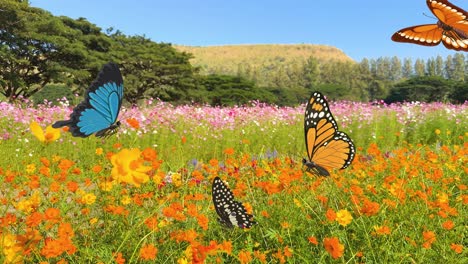 colorful butterflies flutter gracefully over a lush flower field, creating a serene and lively animation with bright, vivid hues