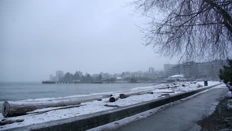 west vancouver beach seaside on a snowy winter day, static slow motion