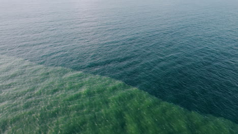 closeup blue lagoon summer surface. drone view turquoise water swell background