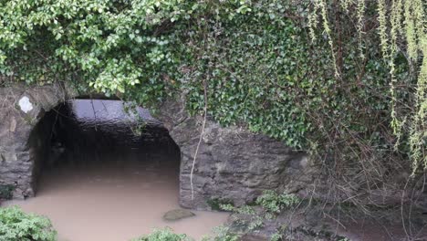 Puente-De-Piedra-Con-Planta-De-Enredadera-Verde,-Agua-Fangosa,-Sauce-Y-Lluvia