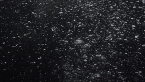 underwater bubbles mayhem on black backgrounds. illuminated bubbles motion. ocean floor bubbles. real underwater footage. deep under sea level. marine background vfx element.