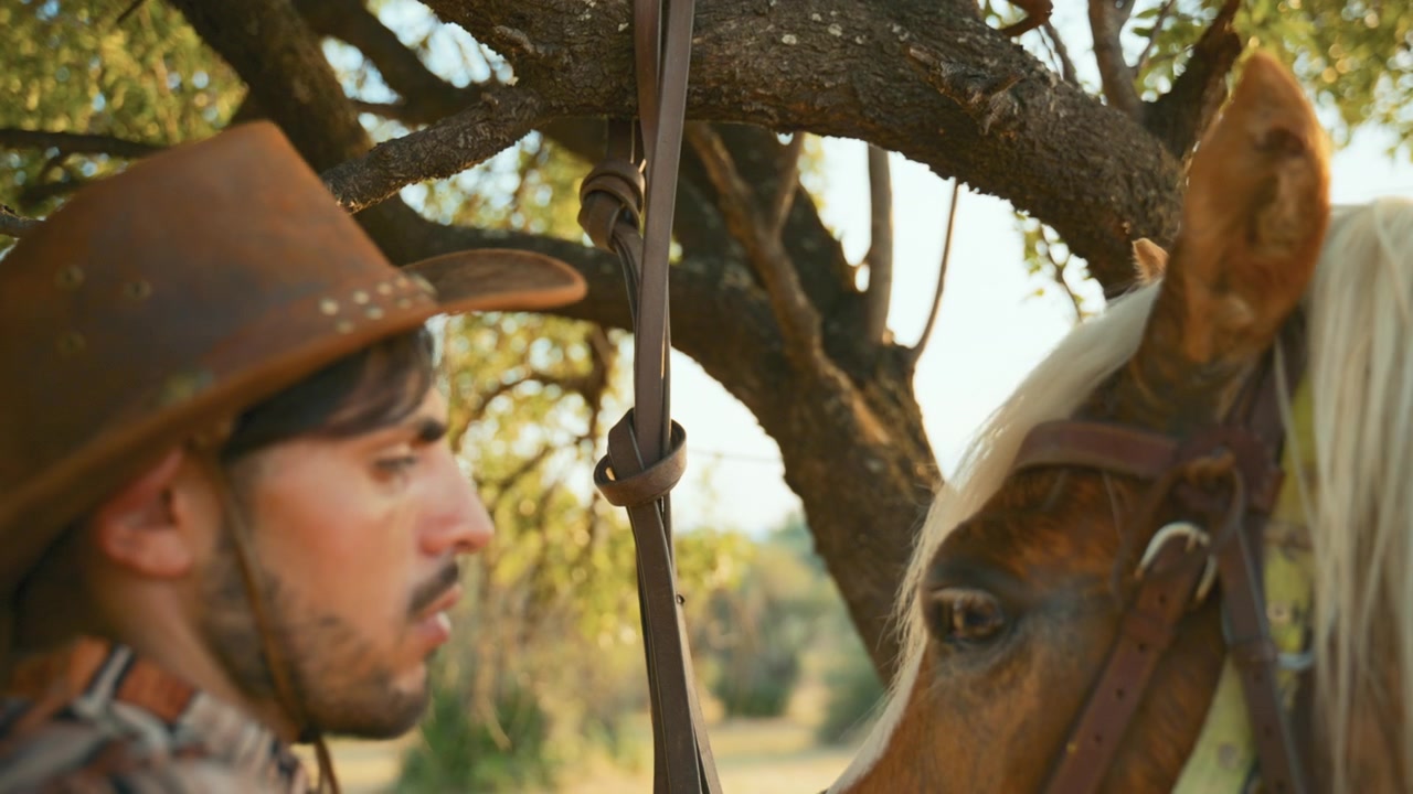 Un uomo con un cappello lega il suo cavallo a un albero in Calabria