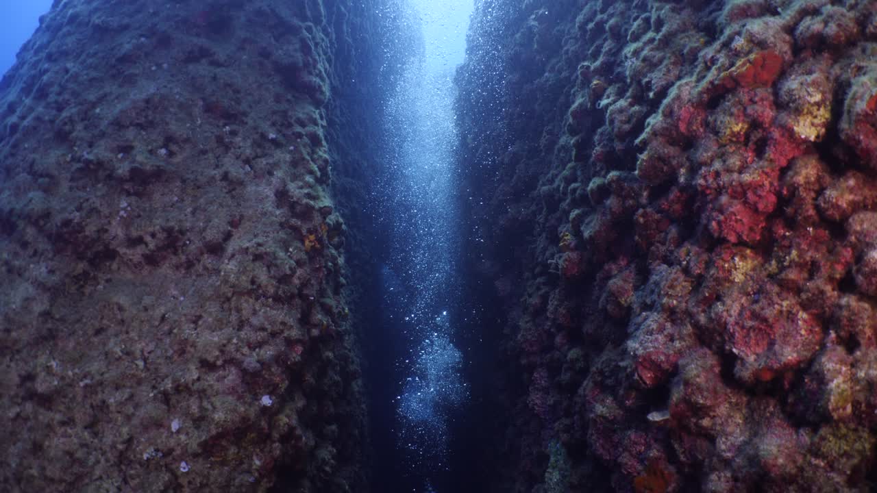 silhouette  scuba divers sun beam shine rays underwater lady woman diver amd man divers in relaxing blue ocean scenery of people