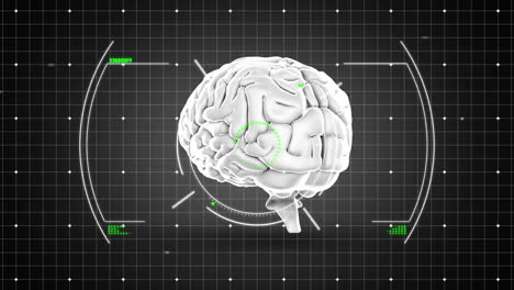 animación del cerebro humano y procesamiento de datos sobre la red.