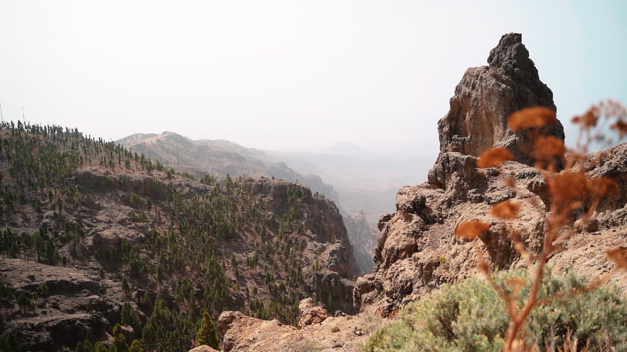 majestuoso paisaje montañoso con diferentes plantas y árboles durante el día soleado y nublado
