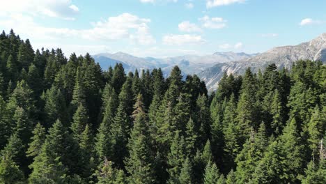 green forest and mountains in tzoumerka national park, ioannia, epirus, greece - aerial