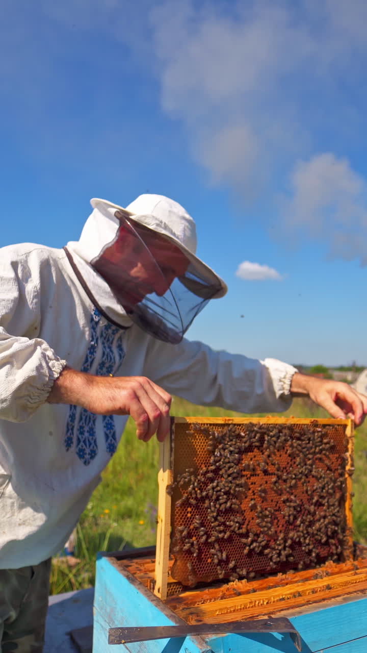 Beekeeper near the hives in nature. Apiculturist in protective hat working on apiary in rural place. Apiary on the background of industrial pipes with smoke. Vertical video