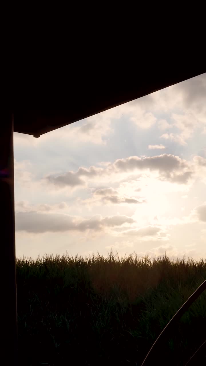 Golden Hour Silhouettes Over a Rural Landscape