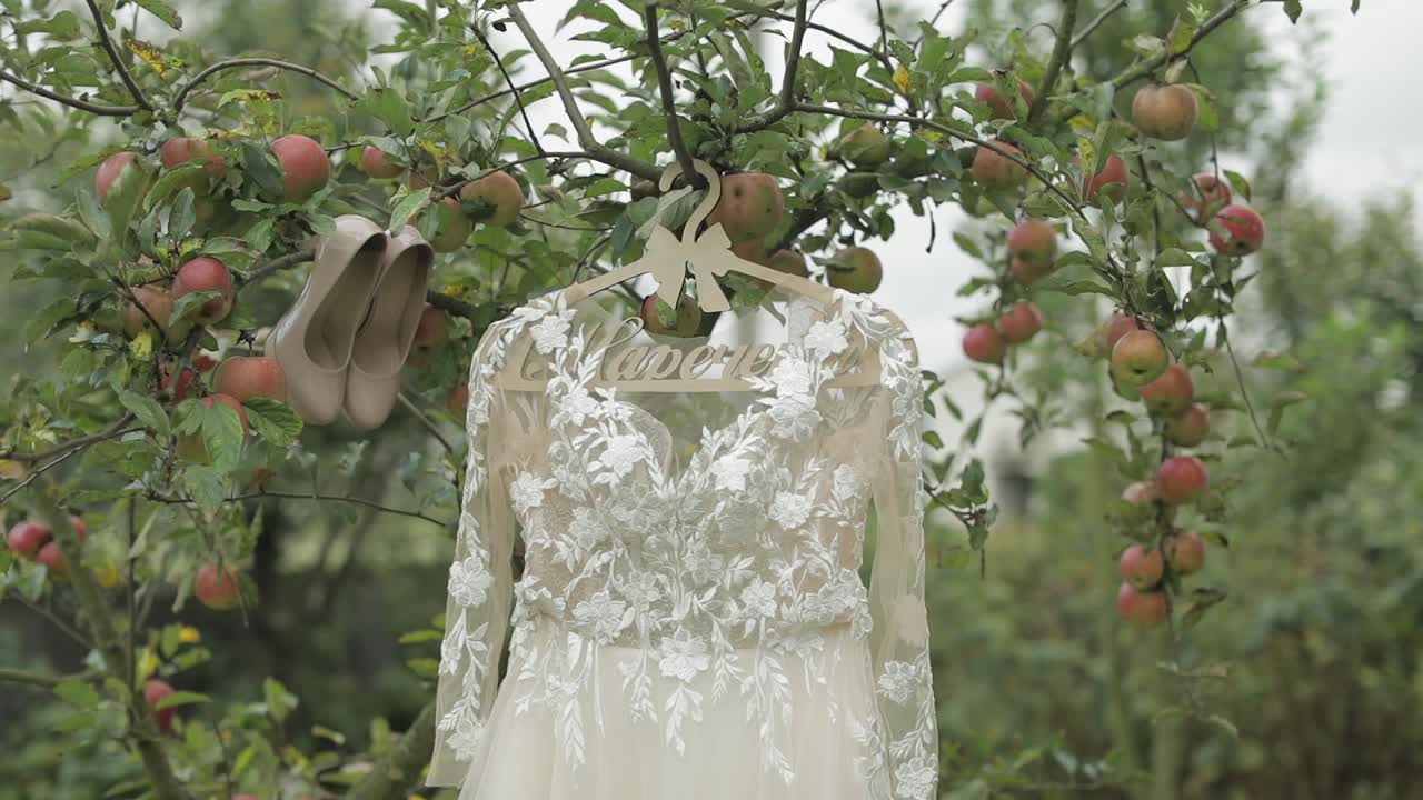 The bride's dress hangs on an apple tree. Very beautiful and elegant. Wedding