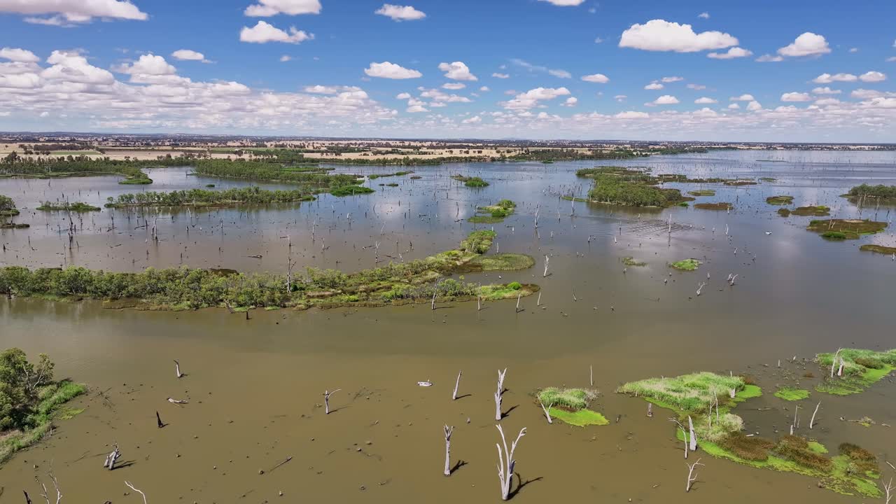 hermosas y exuberantes islas en el lago mulwala, nsw, australia con nubes esponjosas más allá