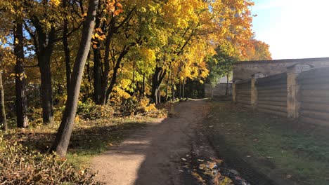 sendero de otoño durante el día soleado