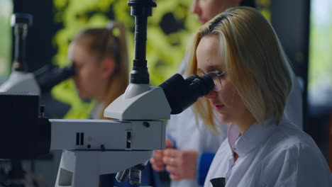 scientists working with microscopes in a lab