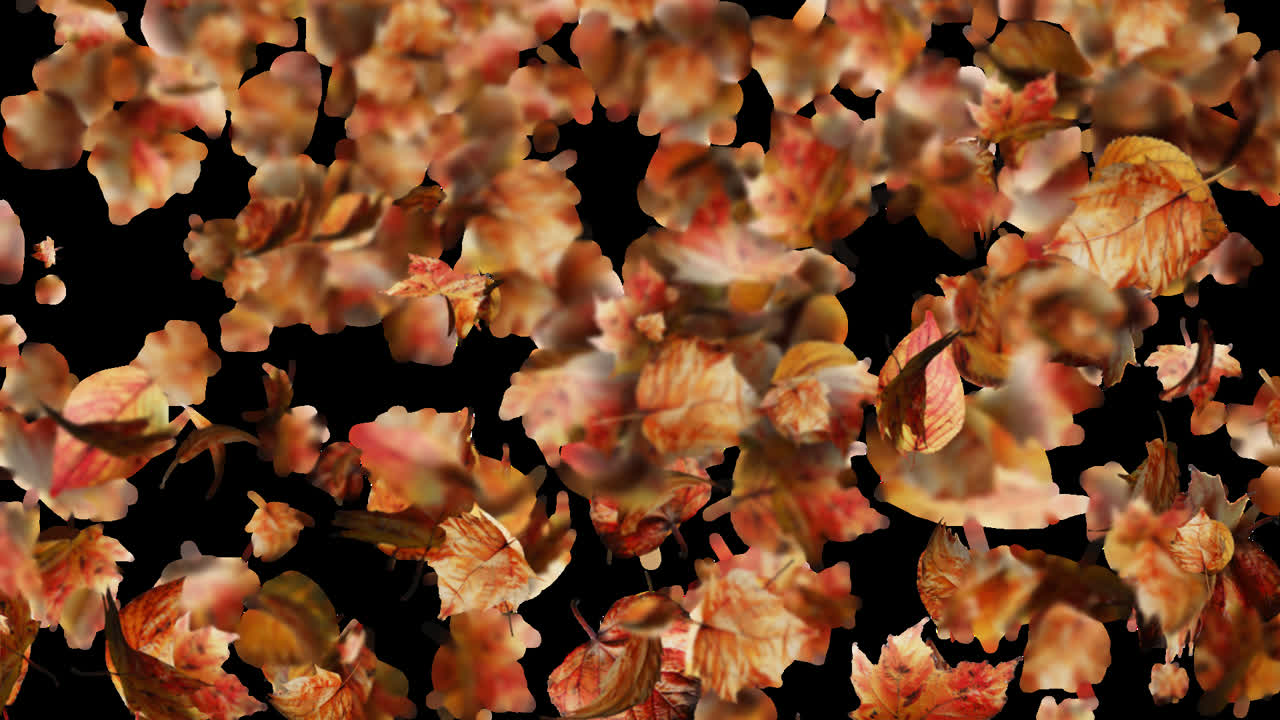 Falling Autumn Leaves Backround Loop with Alpha Transparency