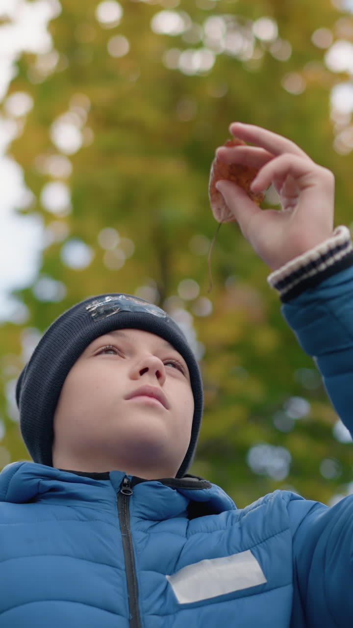 파란색 재과 모자를 입은 어린 소년은 건조한 잎을 높이 들고, 활기찬 가을 잎자루와 시골 울타리의 배경에서 신중하게 검사하며, 야외 환경에서 자연을 탐구합니다.