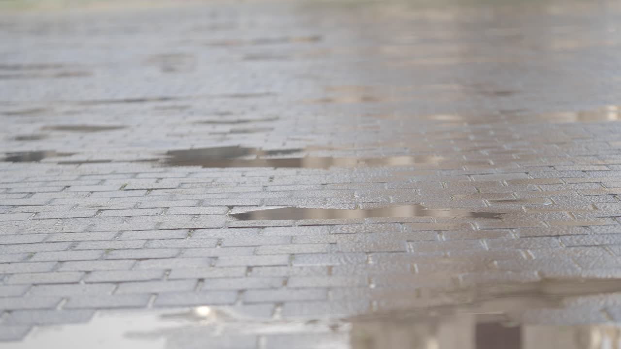 Rain Puddle on Cobblestones