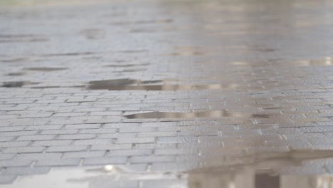 rain puddle on cobblestones