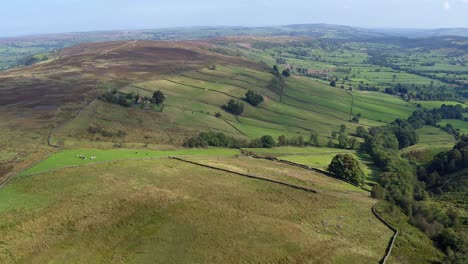 glaisdale dale, vuelo de drones retrocediendo desde el valle hasta los páramos - dji inspire 2