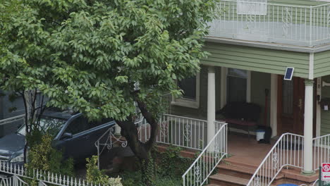 Tree-Blows-In-A-Suburban-Front-Yard-On-A-Cloudy---Rainy-Afternoon-In-The-Summer