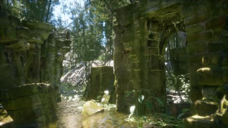 ruined ancient stone house overgrown with plants and ferns in dense green forest