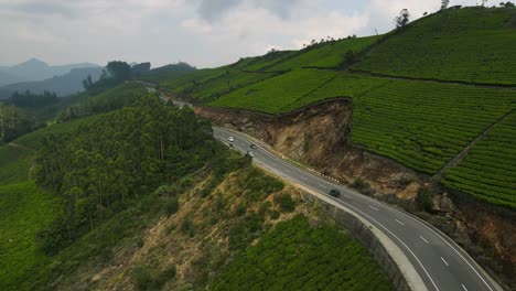 aerial drone shot of munnar's majestic mountain ranges and verdant tea gardens