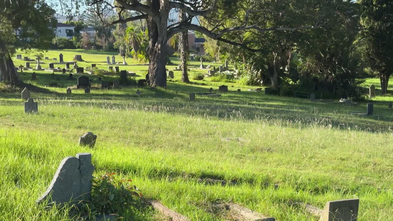 Graveyard in a old field