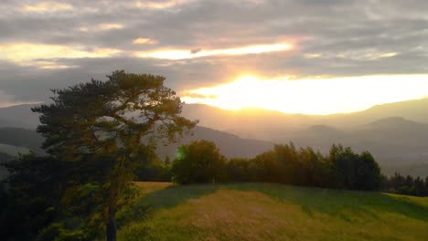 Exotischer-Luftbaum-Mit-Herrlichem-Sonnenuntergang-über-Der-Berglandschaft,-Erfüllt-Von-Goldenem-Licht