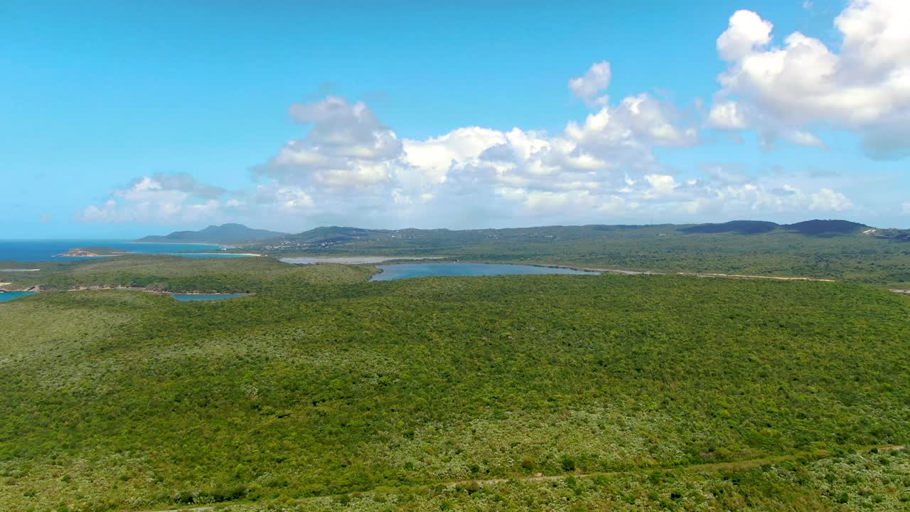 Aerial View of Tropical Island Coastline