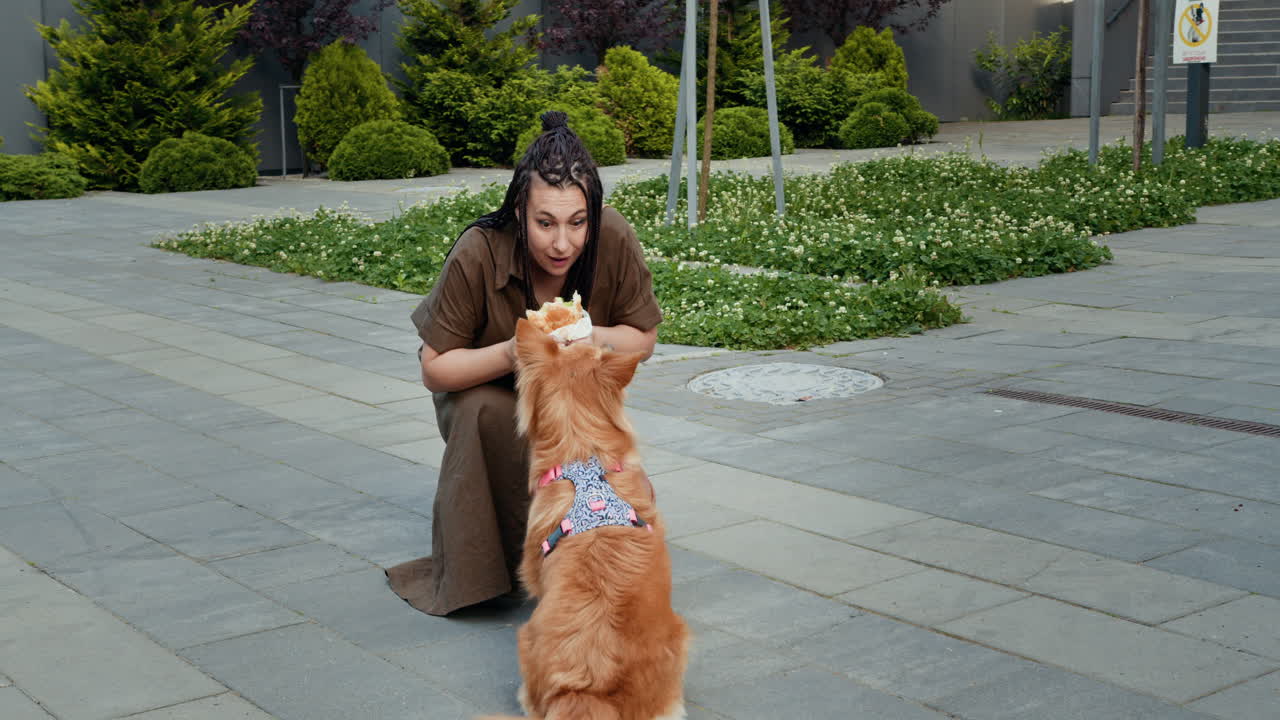 Woman Feeding a Dog a Sandwich in the City
