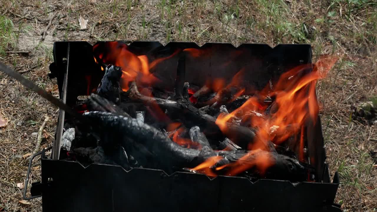 brazier barbecue grill nella foresta 4k