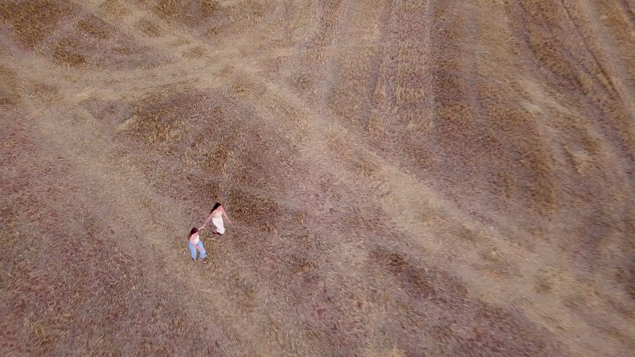 Aerial View of a Person Walking in a Vast Harvested Field