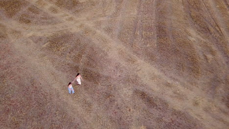 aerial view of a person walking in a vast harvested field