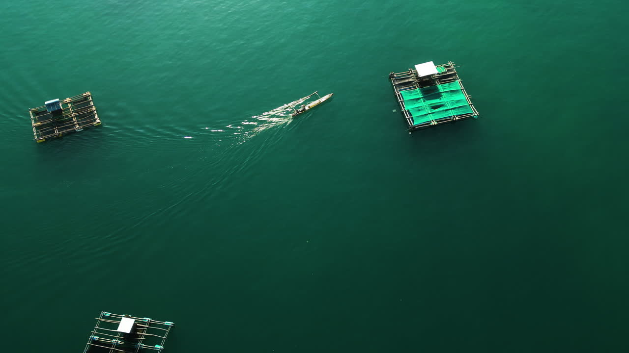Jukung drives between floating bamboo spiny lobster net cages, Mertak