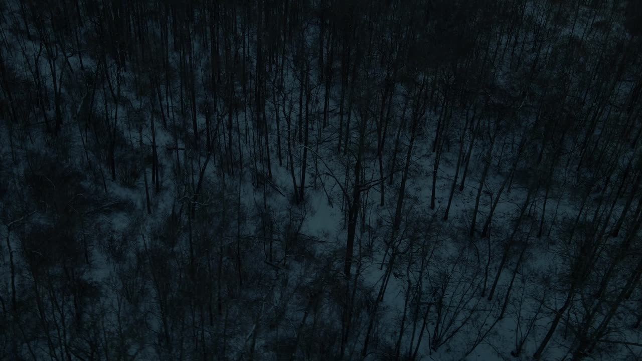 tarde invernal oscura y fría